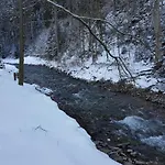 Alpine In * Wildemann