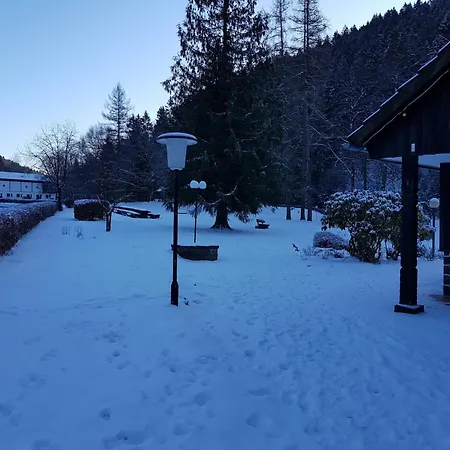 Alpine In * Вильдеманн
