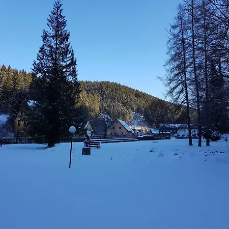 Appartamento Alpine In *