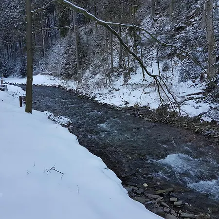 Alpine In * Вильдеманн