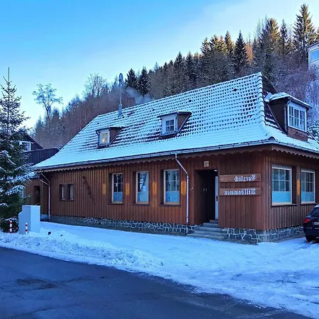 Appartamento Alpine In Wildemann