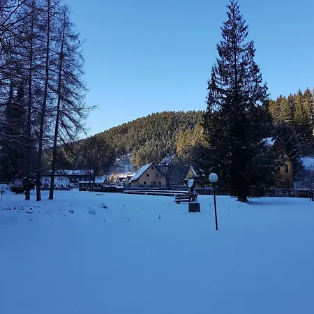 Alpine In Appartamento Wildemann