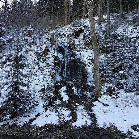 Alpine In Wildemann