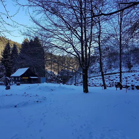 Alpine In Appartamento Wildemann