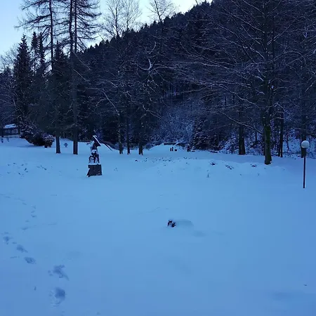 Alpine In Wildemann