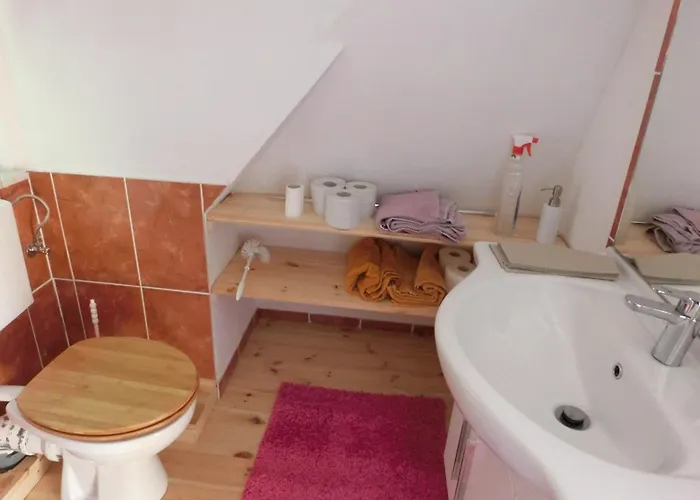 Apartamento Alpine In Wildemann