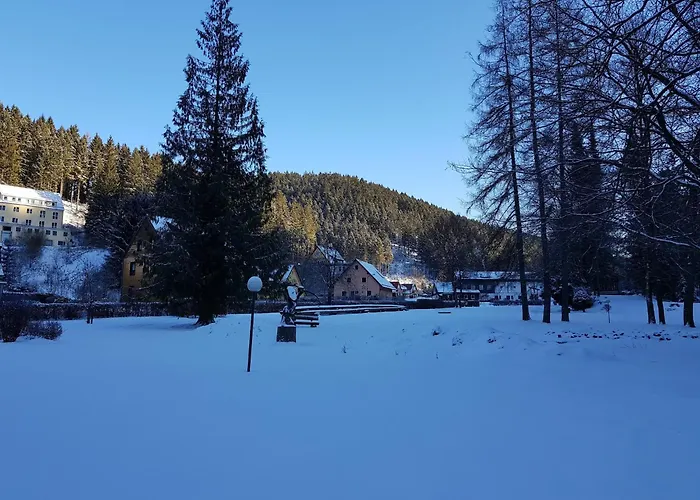 Apartamento Alpine In *