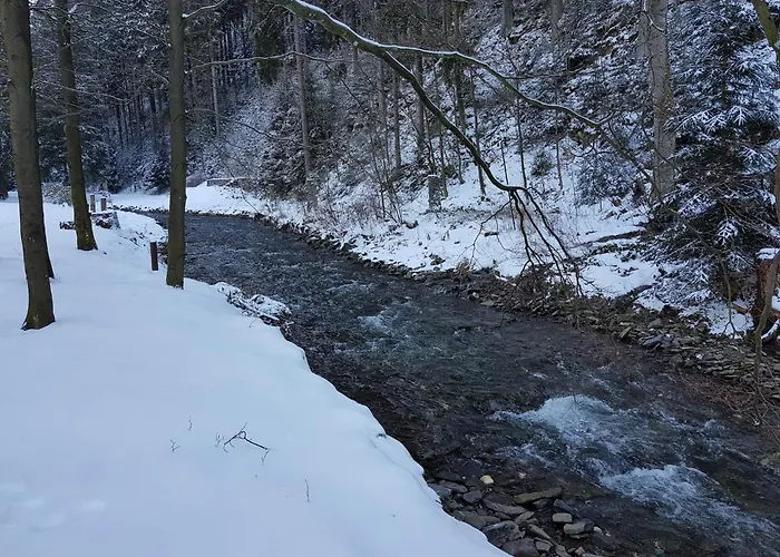 Alpine In * Wildemann
