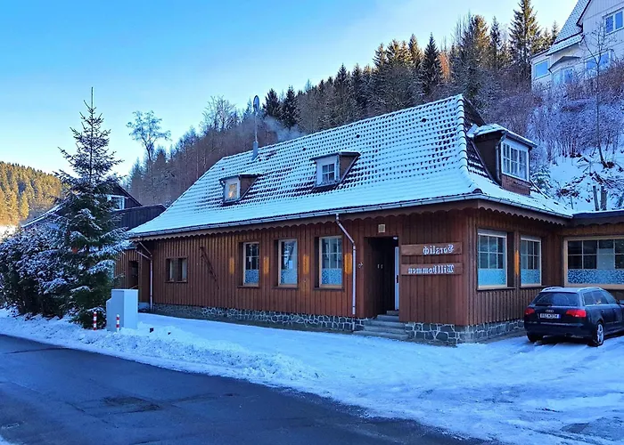 Apartamento Alpine In Wildemann