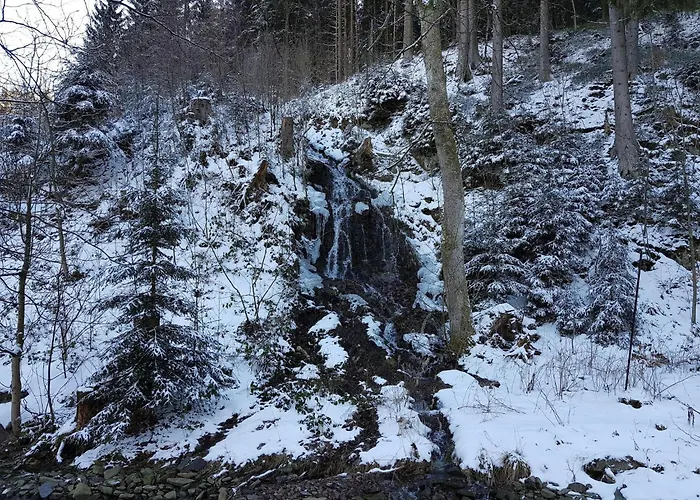 Alpine In Wildemann