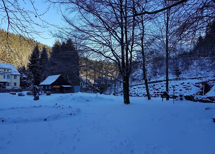 Alpine In Apartamento Wildemann