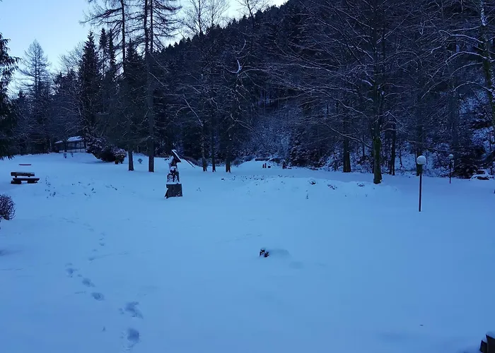 Alpine In Wildemann